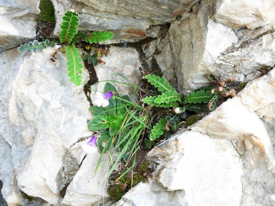 Nestos, Meer Und Berge - Griechenland Mal Anders Zarkadhiá Exterior foto